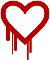 Heartbleed 