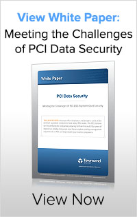 Download Whitepaper on PCI Data Security
